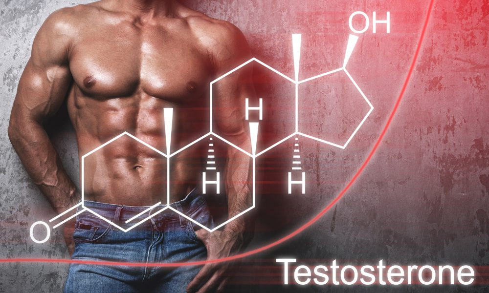 vai trò của testosterone đối với sinh lý nam giới